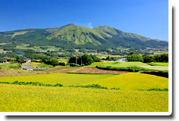 九州の米、熊本阿蘇山麓コシヒカリ