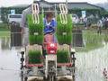 店長　コンバインを使って田植え