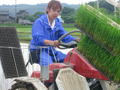 コンバインで田植え中