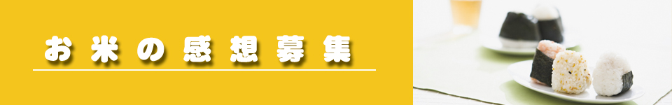 お米の感想おいしい米のと米店