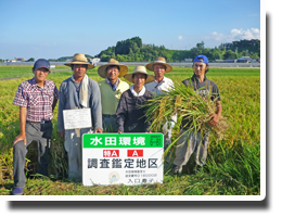 無農薬米 宮崎アグリアート